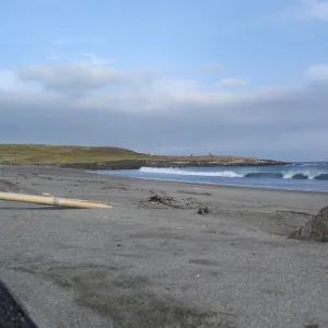 Horse Beach Cove, San Clemente Island, SBBG Research 2005