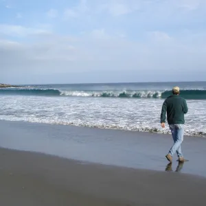 Horse Beach Cove, San Clemente Island, SBBG Research 2005, Bob Muller