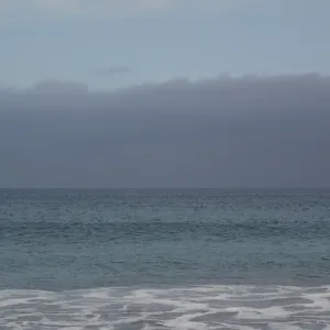 maritime fog, San Clemente Island, SBBG Research 2005