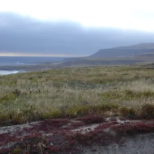San Clemente Island, SBBG Research 2005