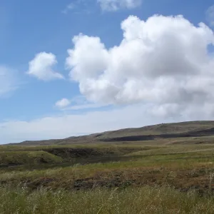 San Clemente Island, SBBG Research 2005