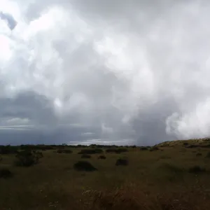 marine layer, clouds, San Clemente Island, SBBG Research 2005