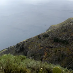 San Clemente Island, SBBG Research 2005