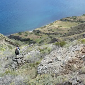 San Clemente Island, SBBG Research 2005, Steve Junak and Bob Muller