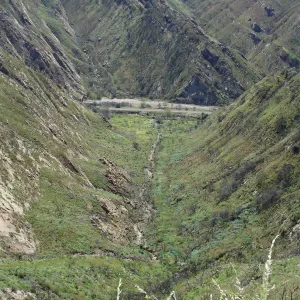 Gaviota burn site, SBBG staff field trip 2005