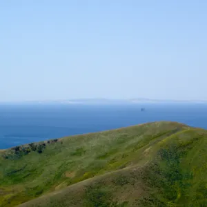 Gaviota burn site, SBBG staff field trip 2005, view to San Miguel Island