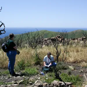 Gaviota burn site, SBBG staff field trip 2005, view to San Miguel Island