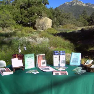 Reception table, Fall Plant Sale, 2005