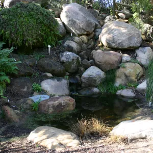 seep and pond in the Arroyo
