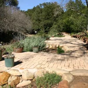 pavered patio area in the Discovery Garden, Arroyo Section