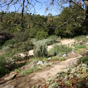 Meadow View garden, Toad Hall exhibit