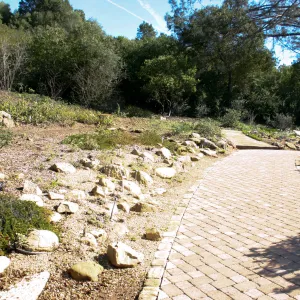 Meadow View garden, pavered path at top of Meadow