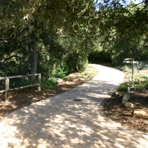 pavered path to the Redwoods, top of Meadow