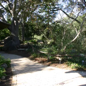 pavered path to the Meadow pond and information kiosk