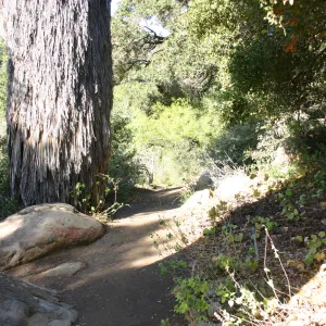 pathway through the Desert Section, top of Campbell Trail (not pavered)