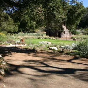 unpaved path under the Meadow Oaks