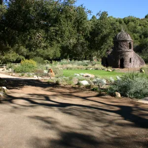 unpaved path under the Meadow Oaks