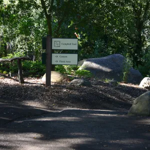 unpaved, dirt path on the Campbell Trail
