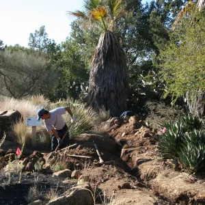 Irrigation construction in the Desert Section