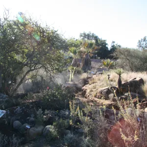 Irrigation construction in the Desert Section