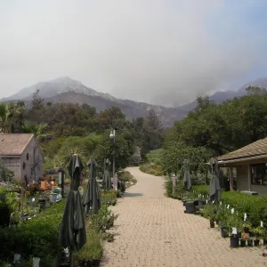 view of smoke from Jesusita Fire from SBBG, day 4, 2:10 PM