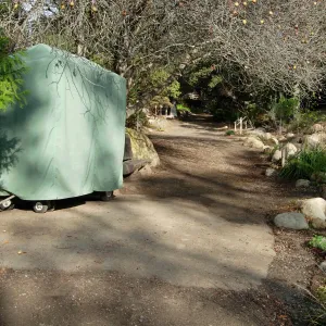 pad installed for Discovery Cart in the Arroyo, SBBG 2006 Projects