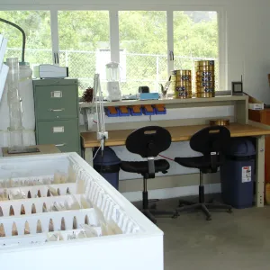SBBG Conservation seed bank facilities