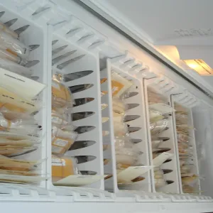 seed storage freezer, SBBG Conservation seed bank facilities