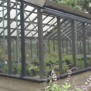 SBBG Conservation greenhouse, Myrick lath house