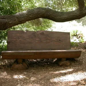 Ellen Hansen Bench, M 25 (Bench #42)