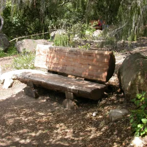 James F. Mastoris Bench, I 30