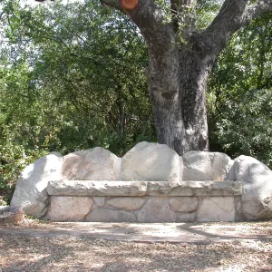 Wood Family Bench (Bench #61)