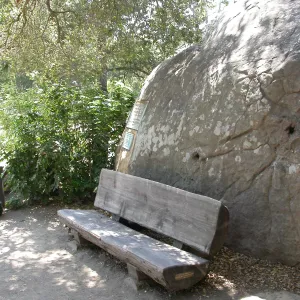 Nugent Bench (Bench #2)