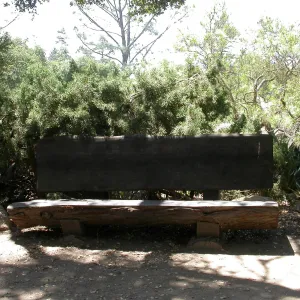 Williams Bench (Bench #4)