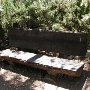 Williams Bench (Bench #4)