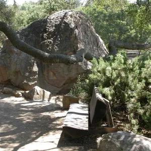Williams Bench (Bench #4)