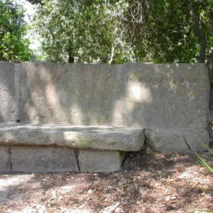 Palme Bench (Bench #20)
