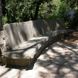 Palme Bench (Bench #20)