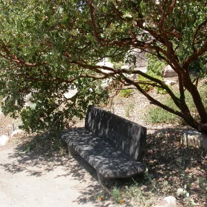 Howland Bench (Bench #9)