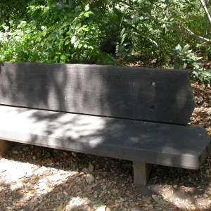 Pettit Bench (Bench #10)