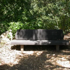 Pettit Bench (Bench #10)