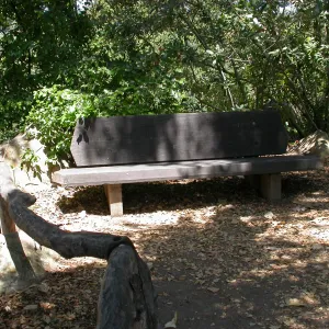 Pettit Bench (Bench #10)