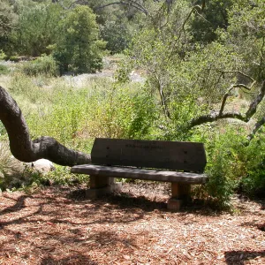 Barnett Bench (Bench #11)