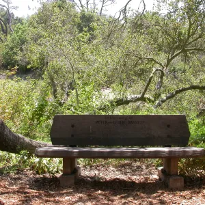 Barnett Bench (Bench #11)