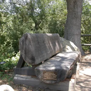 Canterbury Bench (Bench #13)
