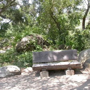 Canterbury Bench (Bench #13)