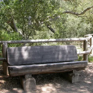 Gest Bench (Bench #14)