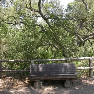 Gest Bench (Bench #14)