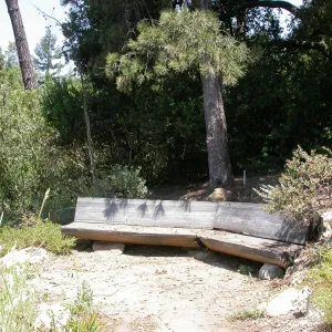 Conn Bench in the Meadow View (Bench #16)