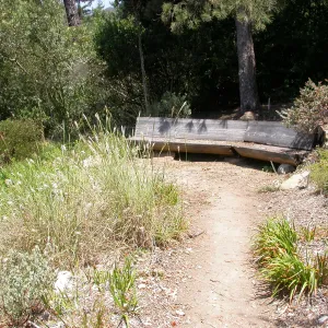 Conn Bench in the Meadow View (Bench #16)